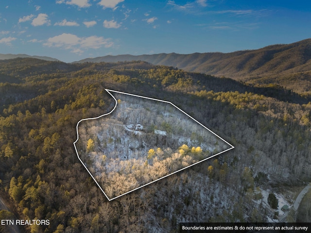 aerial view with a mountain view