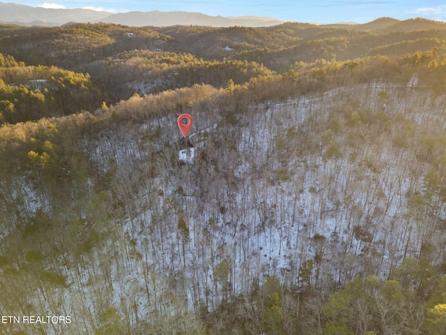 aerial view with a mountain view