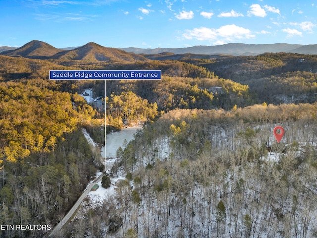 property view of mountains