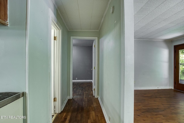 hallway featuring crown molding and dark hardwood / wood-style floors