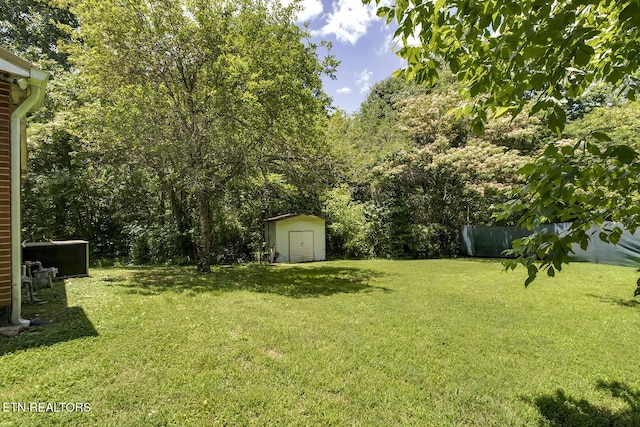 view of yard with a storage shed