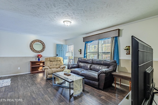 living room featuring crown molding, dark hardwood / wood-style floors, and a textured ceiling