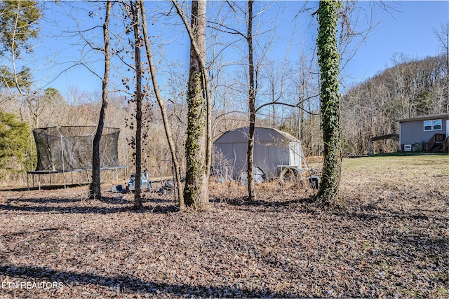 view of yard with a trampoline and a shed