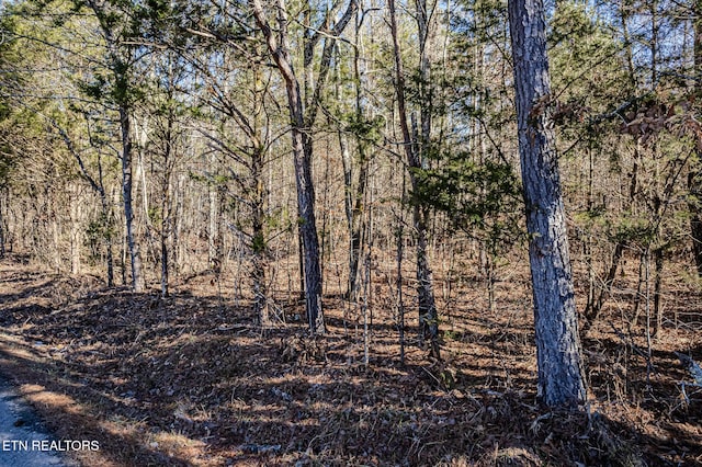 Listing photo 3 for 5ACRES S Nopone Valley Rd, Decatur TN 37322