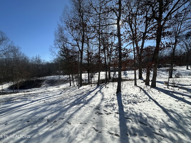 view of yard layered in snow