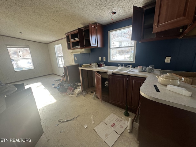 kitchen featuring vaulted ceiling, sink, and a textured ceiling