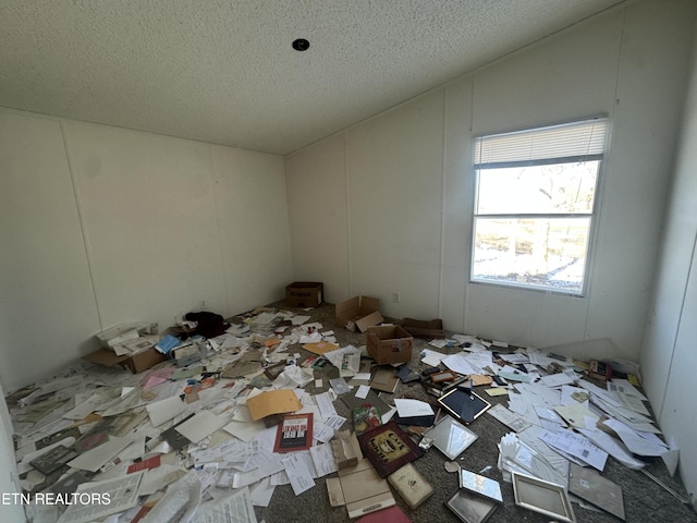 interior space with a textured ceiling