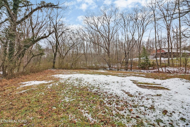 view of snowy yard