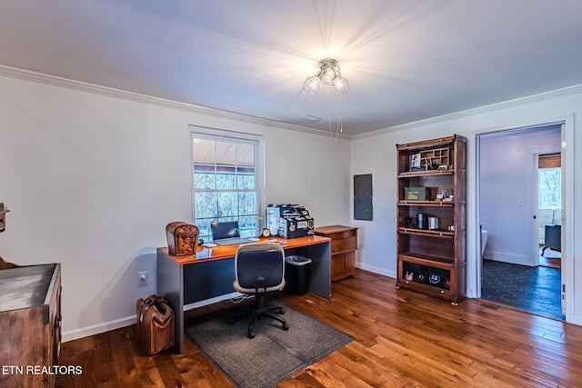 office space with dark hardwood / wood-style floors, crown molding, and electric panel