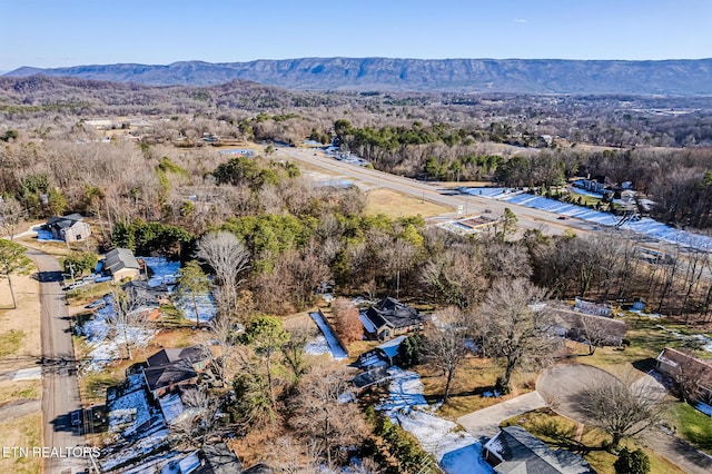 bird's eye view with a mountain view