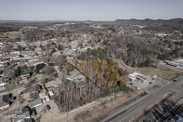 drone / aerial view featuring a mountain view