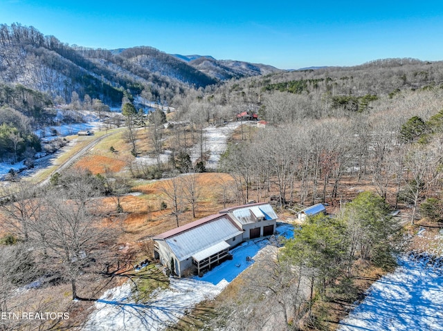 birds eye view of property with a mountain view