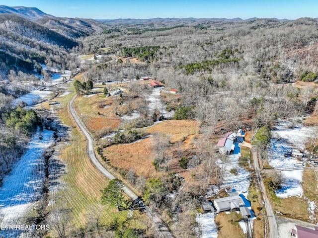 bird's eye view with a mountain view