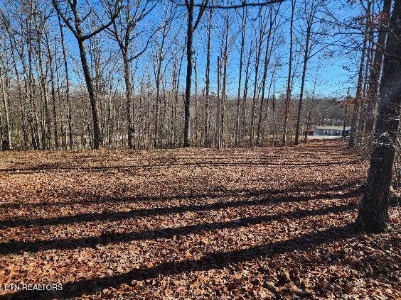 Trimmer Ln, Jamestown TN, 38556 land for sale