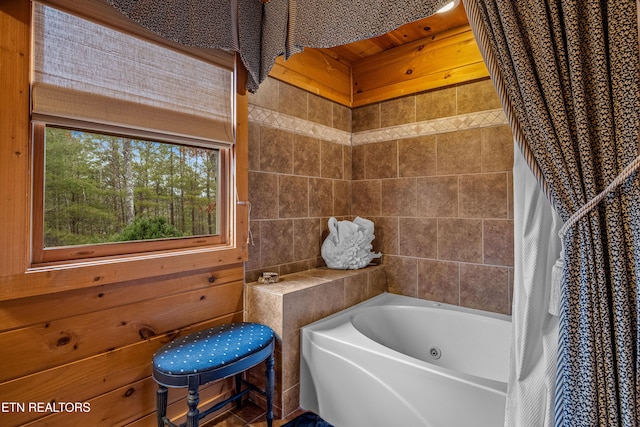 bathroom with a bathtub