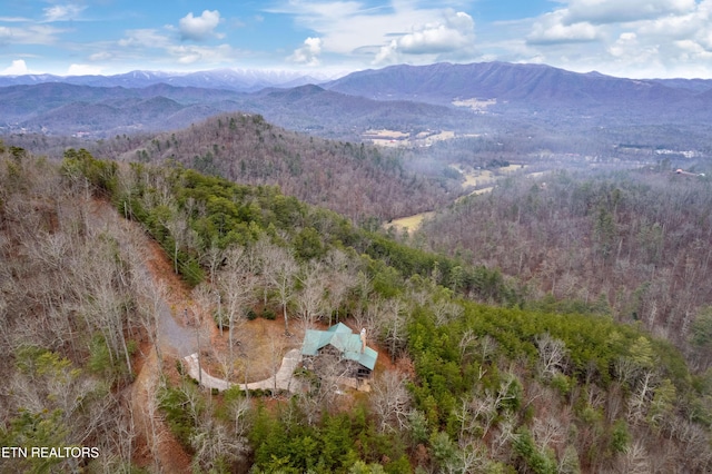 property view of mountains