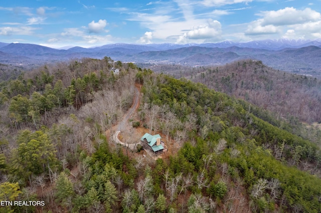 aerial view with a mountain view