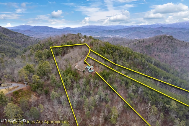 birds eye view of property featuring a mountain view