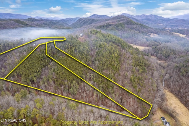 birds eye view of property featuring a mountain view