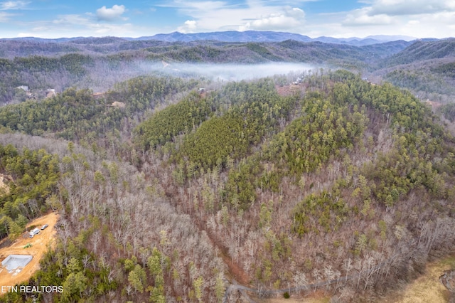 bird's eye view featuring a mountain view