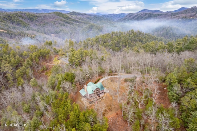 aerial view with a mountain view