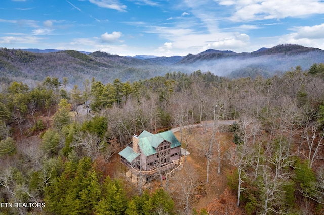 birds eye view of property with a mountain view