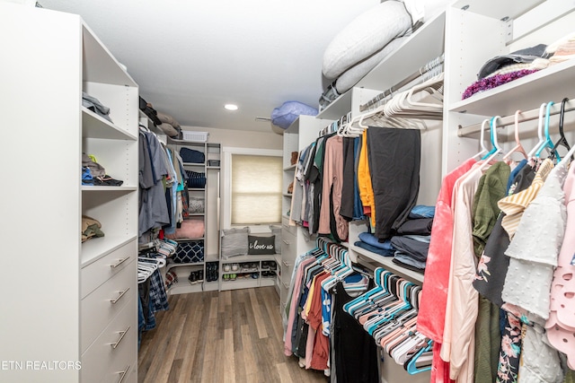 spacious closet featuring dark hardwood / wood-style floors