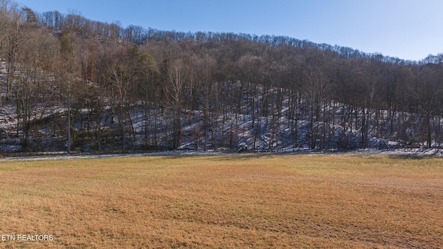 Listing photo 2 for 0 Longs Bend Rd, Rogersville TN 37857