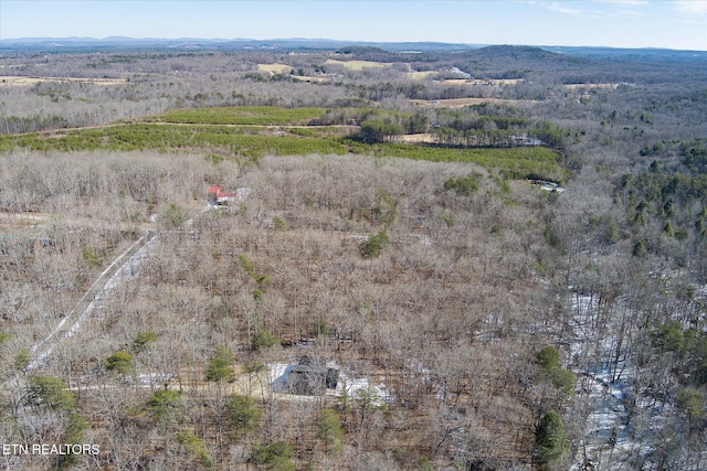 drone / aerial view with a mountain view