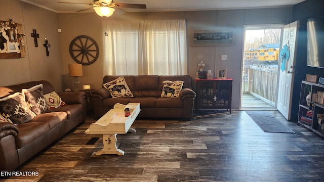 living room with ceiling fan, dark hardwood / wood-style flooring, and crown molding