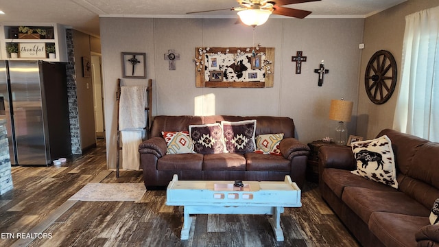 living room with ceiling fan, dark wood-type flooring, a textured ceiling, and ornamental molding