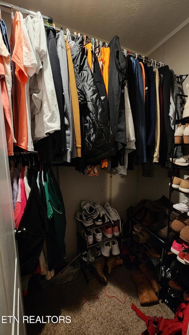 spacious closet with carpet floors