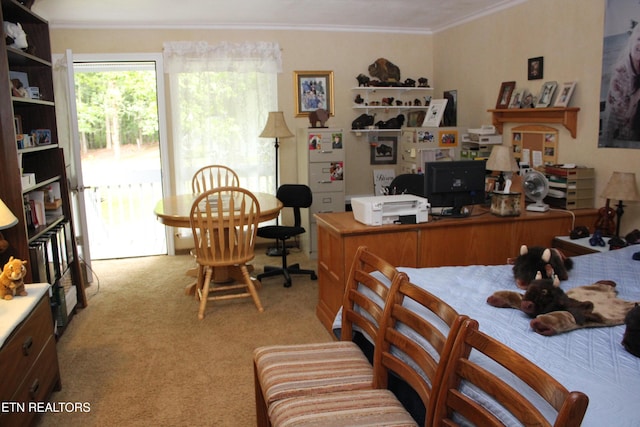 carpeted office featuring crown molding