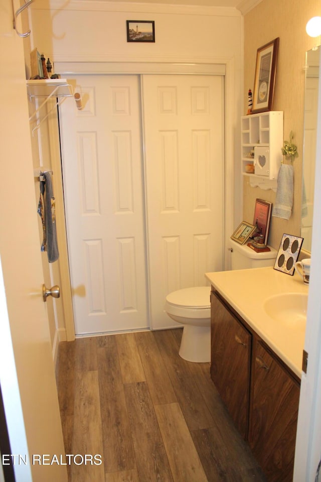 bathroom featuring toilet, vanity, and hardwood / wood-style floors