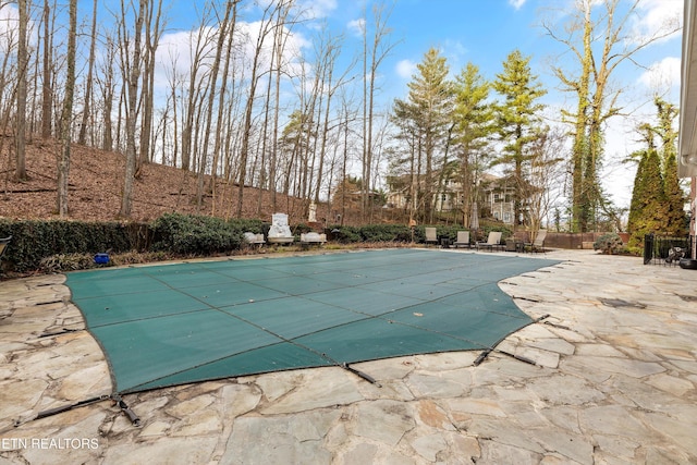 view of pool featuring a patio area