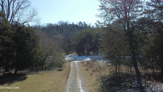 334 S Fork Branch Rd, Rogersville TN, 37857 land for sale