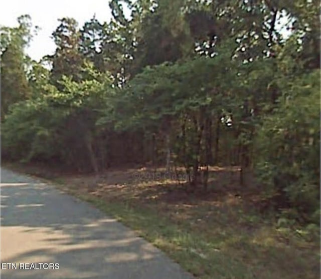 333 Nuhya Ln, Loudon TN, 37774 land for sale