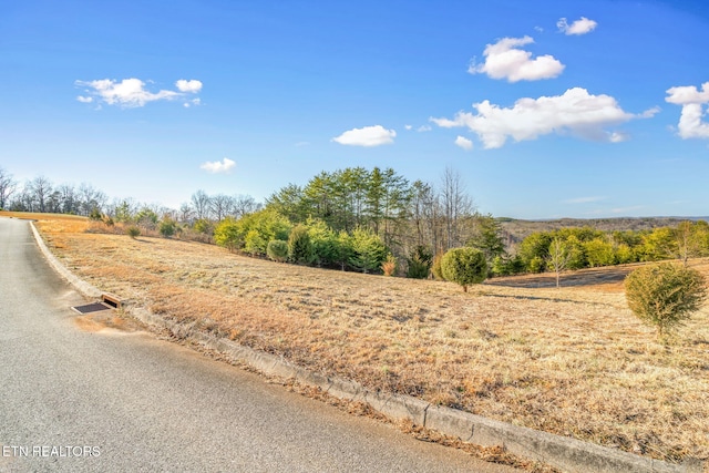 Melea Ln, Kingston, TN 37763 - photo 4