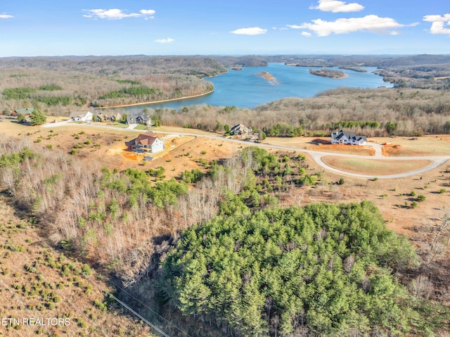 Melea Ln, Kingston, TN 37763 - photo 10