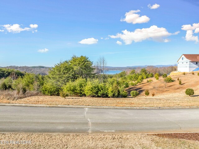 Melea Ln, Kingston, TN 37763 - photo 14