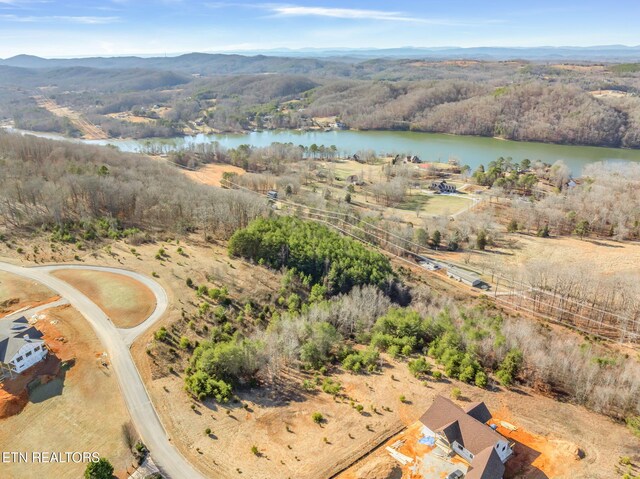 Melea Ln, Kingston, TN 37763 - photo 16