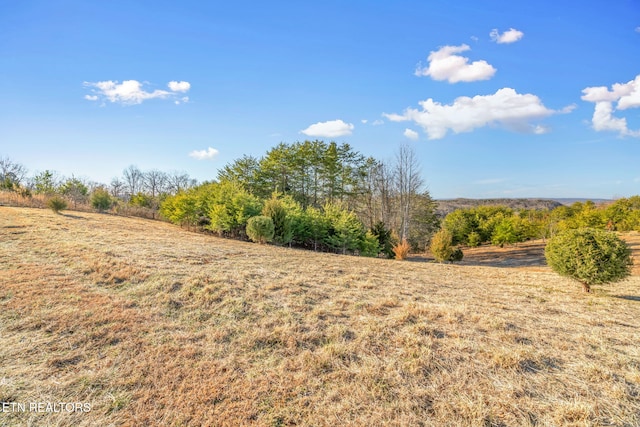 Melea Ln, Kingston, TN 37763 - photo 22