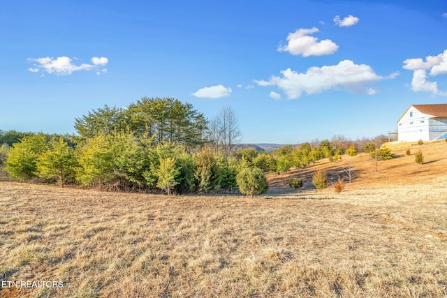Melea Ln, Kingston, TN 37763 - photo 23