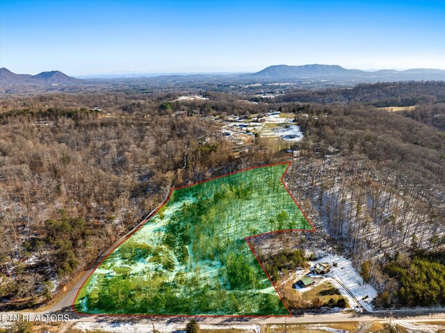 515 Wallace Rd, Luttrell, TN 37779 - photo 2