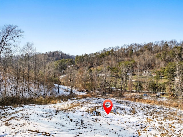 515 Wallace Rd, Luttrell, TN 37779 - photo 4