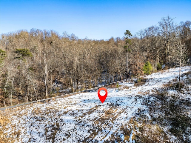 515 Wallace Rd, Luttrell, TN 37779 - photo 5