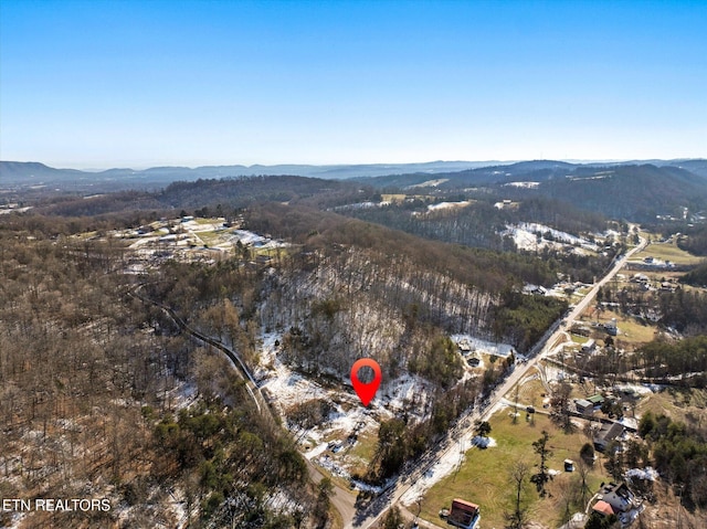 515 Wallace Rd, Luttrell, TN 37779 - photo 6