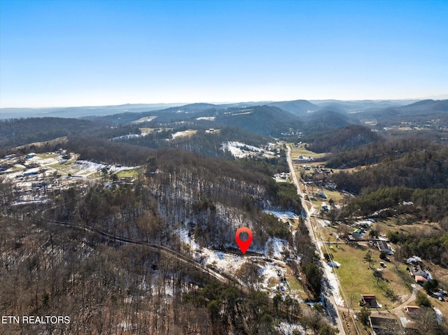 515 Wallace Rd, Luttrell, TN 37779 - photo 7