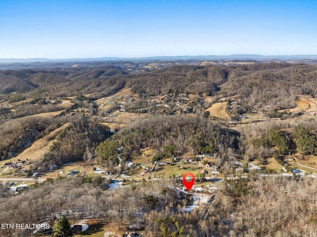 515 Wallace Rd, Luttrell, TN 37779 - photo 9