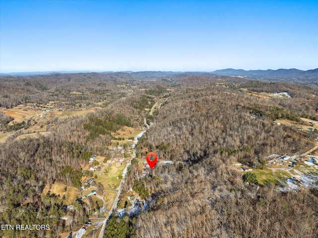 515 Wallace Rd, Luttrell, TN 37779 - photo 11